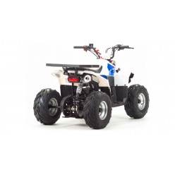 Квадроцикл Motoland ATV 110 EAGLE