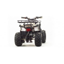 Квадроцикл Motoland ATV 125 FOX