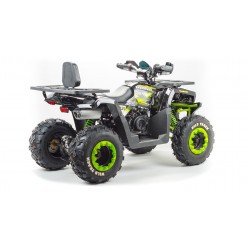Квадроцикл Motoland 200 WILD TRUCK 