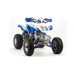 Квадроцикл Motoland ATV 250 Dakar 