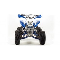 Квадроцикл Motoland ATV 250 Dakar 